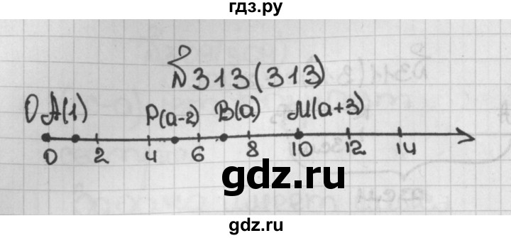 ГДЗ по математике 5 класс  Виленкин   учебник 2015. упражнение - 313 (313), Решебник №1