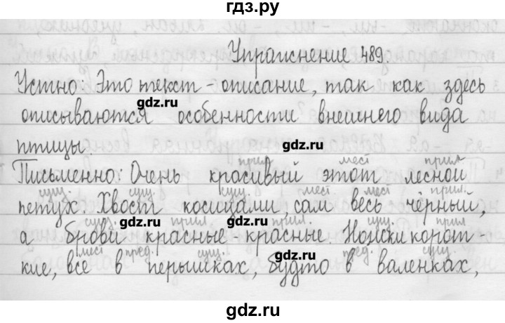 ГДЗ по русскому языку 3 класс  Рамзаева   упражнение - 489, Решебник