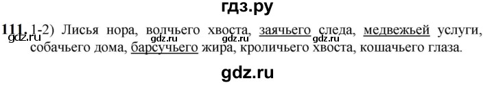 ГДЗ по русскому языку 5 класс  Разумовская   упражнение - 111, Решебник к учебнику 2023