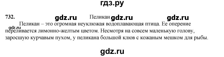 ГДЗ по русскому языку 5 класс  Разумовская   упражнение - 732, Решебник к учебнику 2023