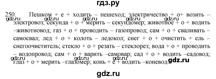 ГДЗ по русскому языку 5 класс  Разумовская   упражнение - 250, Решебник к учебнику 2022