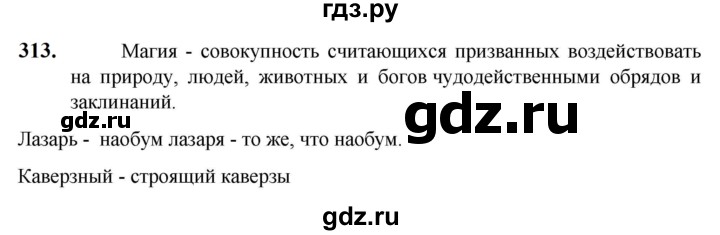 ГДЗ по русскому языку 5 класс Разумовская упражнение - 313, Решебник к учебнику 2023