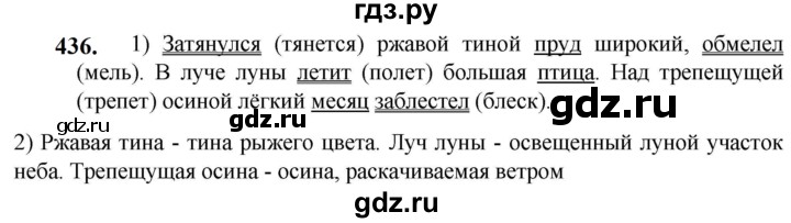 ГДЗ по русскому языку 5 класс Разумовская упражнение - 436, Решебник к учебнику 2023