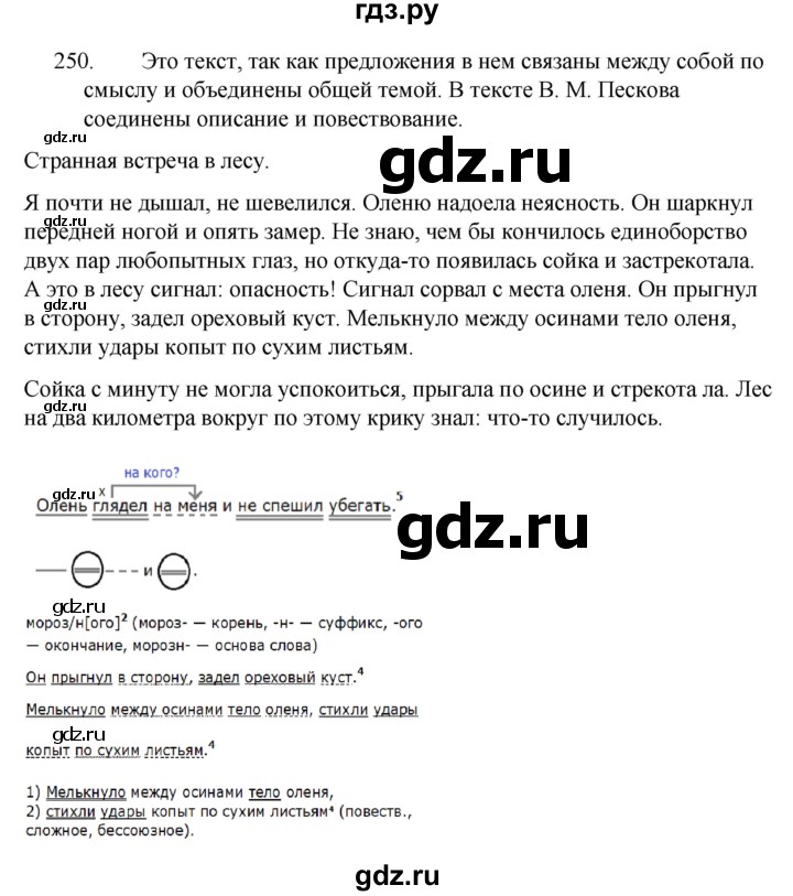 ГДЗ по русскому языку 5 класс  Ладыженская   упражнение - 250, Решебник к учебнику 2021