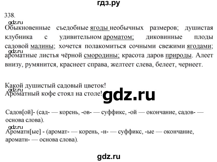 ГДЗ по русскому языку 5 класс Ладыженская упражнение - 338, Решебник 2021