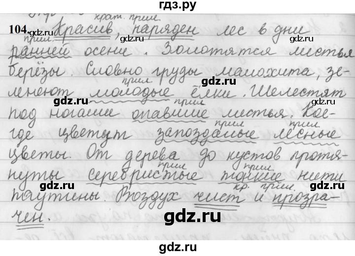 ГДЗ по русскому языку 5 класс Ладыженская упражнение - 104, Решебник №1 2019