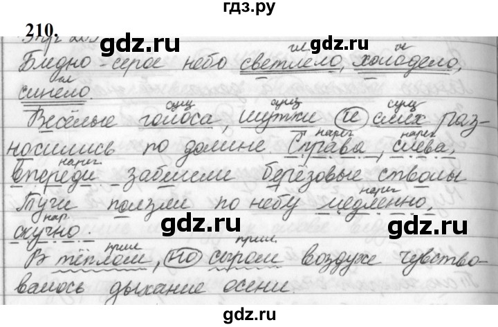 ГДЗ по русскому языку 5 класс Ладыженская упражнение - 210, Решебник №1 2019