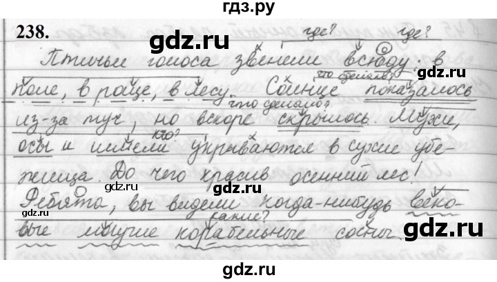 ГДЗ по русскому языку 5 класс Ладыженская упражнение - 238, Решебник №1 2019