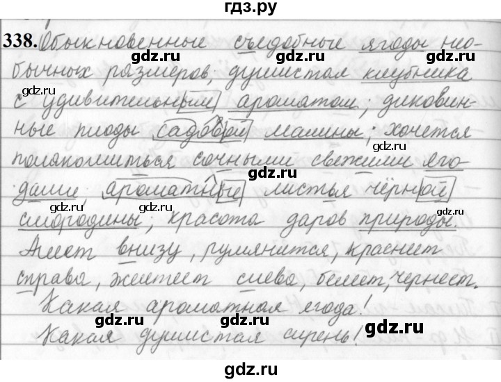 ГДЗ по русскому языку 5 класс Ладыженская упражнение - 338, Решебник №1 2019