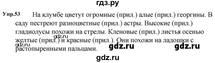ГДЗ по русскому языку 5 класс Ладыженская упражнение - 53, Решебник 2025