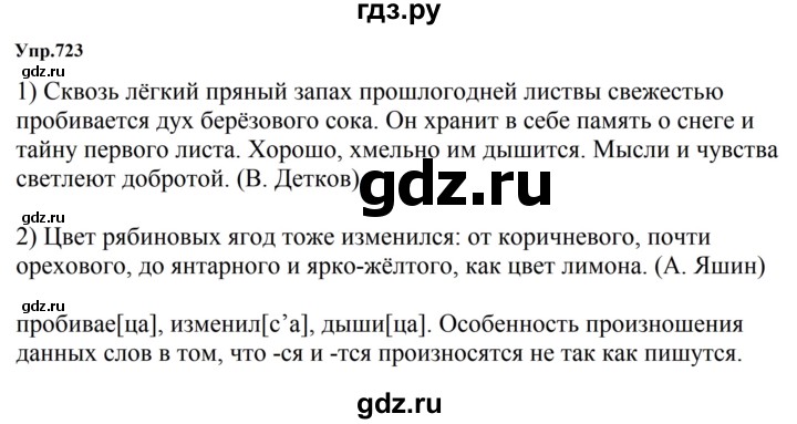 ГДЗ по русскому языку 5 класс  Ладыженская   упражнение - 723, Решебник 2023