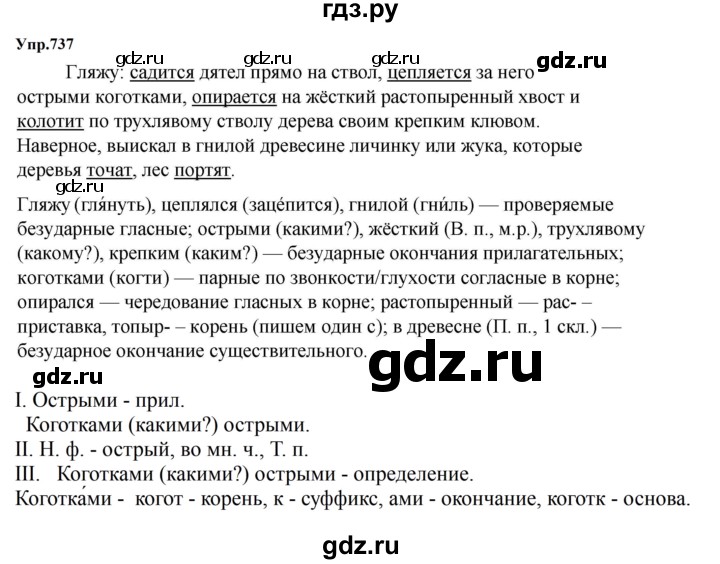 ГДЗ по русскому языку 5 класс  Ладыженская   упражнение - 737, Решебник 2023