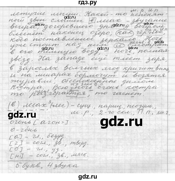 ГДЗ по русскому языку 6 класс  Ладыженская   упражнение - 31, Решебник к учебнику 2016