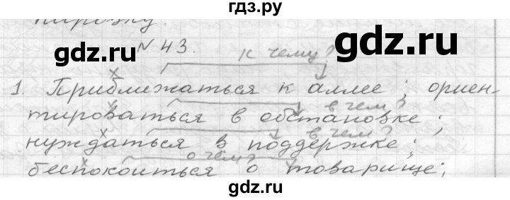 ГДЗ по русскому языку 6 класс  Ладыженская   упражнение - 43, Решебник к учебнику 2016