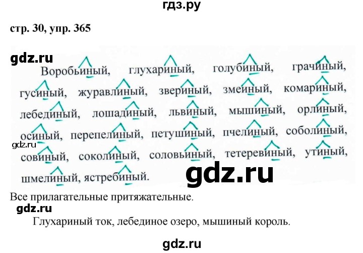 ГДЗ по русскому языку 6 класс  Ладыженская   упражнение - 365, Решебник к учебнику 2016