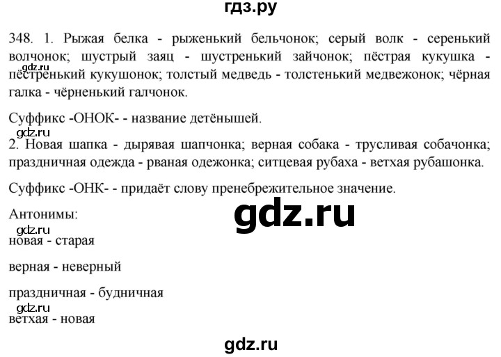 ГДЗ по русскому языку 6 класс  Ладыженская   упражнение - 348, Решебник №1 к учебнику 2022