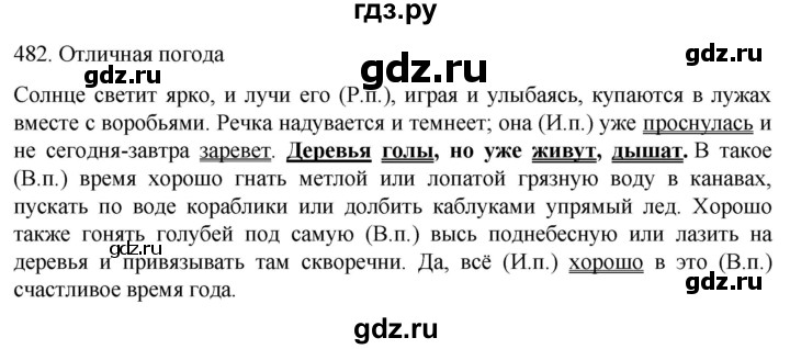 ГДЗ по русскому языку 6 класс  Ладыженская   упражнение - 482, Решебник №1 к учебнику 2022