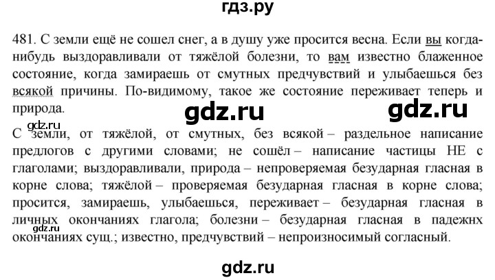 ГДЗ по русскому языку 6 класс Ладыженская упражнение - 481, Решебник №1 2022