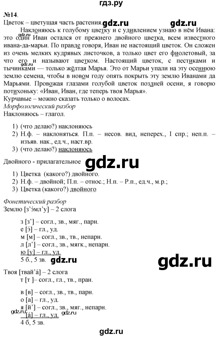 ГДЗ по русскому языку 7 класс Баранов упражнение - 14, Решебник №2 к учебнику 2015