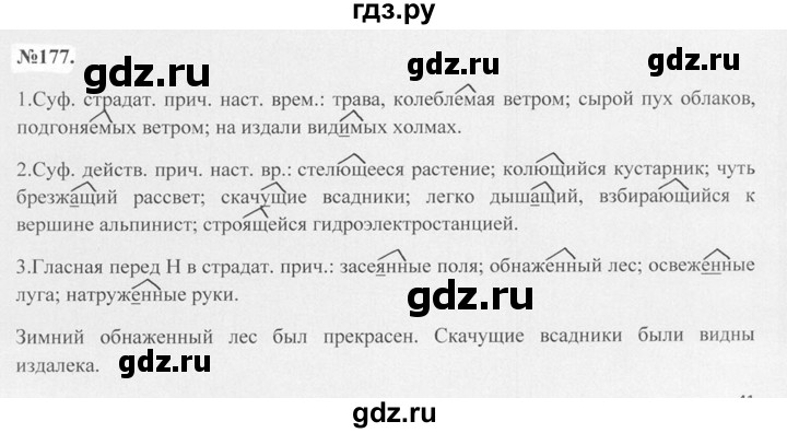 ГДЗ по русскому языку 7 класс Баранов упражнение - 177, Решебник №2 к учебнику 2015
