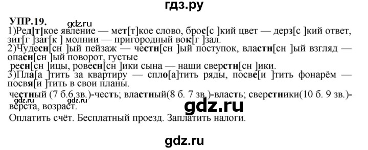 ГДЗ по русскому языку 8 класс  Бархударов   упражнение - 19, Решебник к учебнику 2023