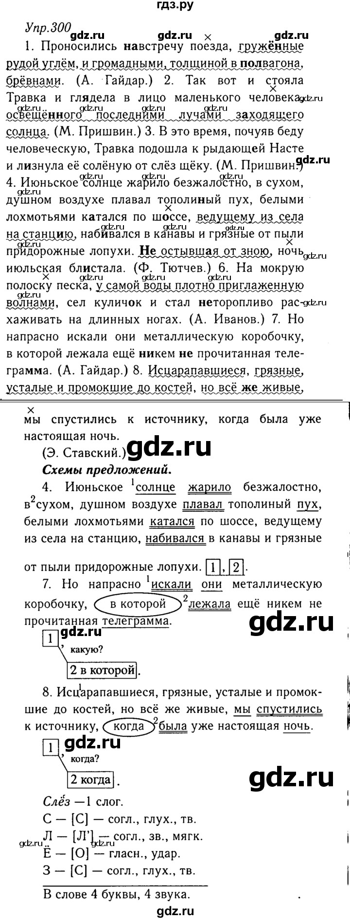 ГДЗ по русскому языку 8 класс Ладыженская упражнение - 300, Решебник №3