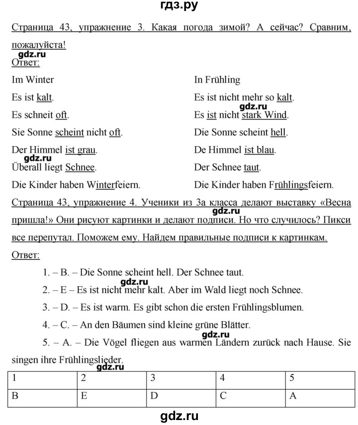 ГДЗ по немецкому языку 3 класс  Бим   часть 2. страница - 43, Решебник №1