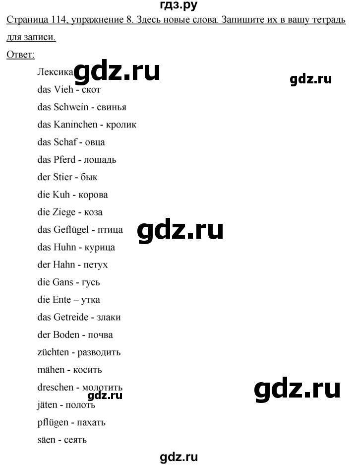 ГДЗ по немецкому языку 7 класс Бим страница - 114, Решебник №1 2015