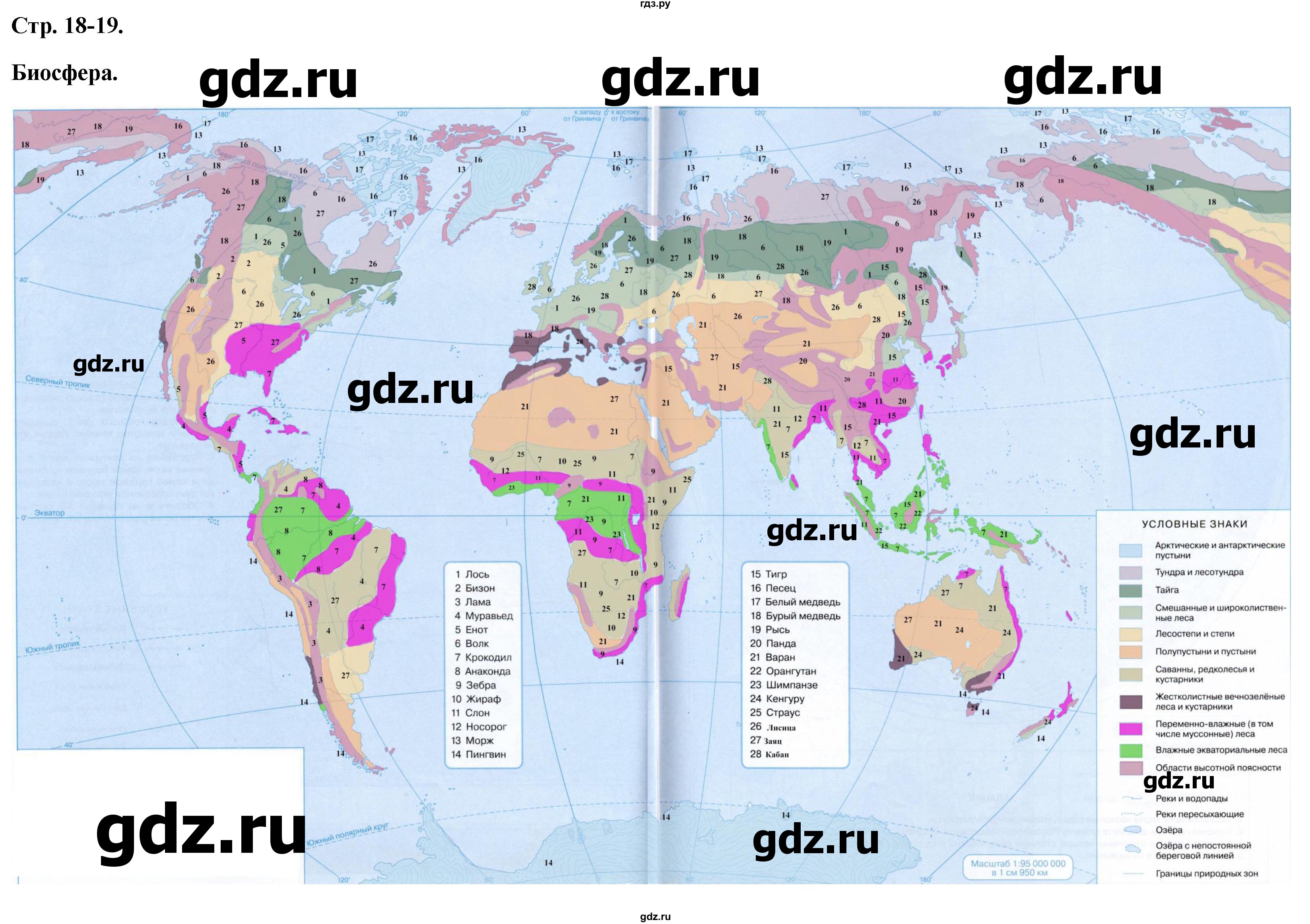 ГДЗ по географии 6 класс Курбский контурные карты  страница - 18-19, Решебник 2021