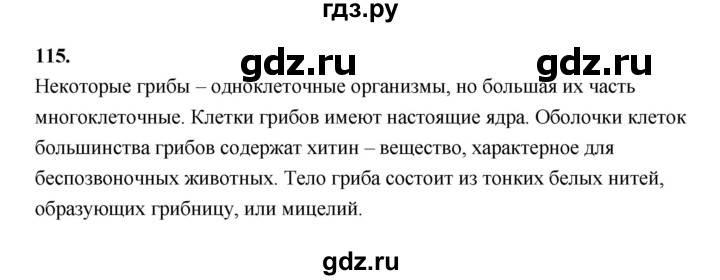 ГДЗ по информатике 6 класс Босова рабочая тетрадь задание - 115, Решебник 2022