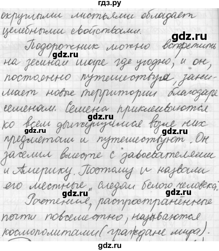 ГДЗ по русскому языку 7 класс Рыбченкова упражнение - 207, Решебник 2016