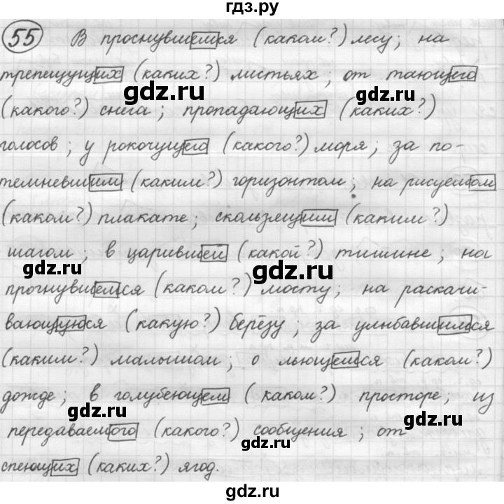 ГДЗ по русскому языку 7 класс Рыбченкова упражнение - 55, Решебник 2016