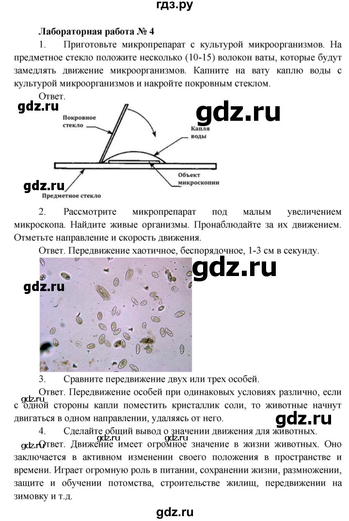 ГДЗ по биологии 5 класс Пономарева   лабораторная работа - 4, Решебник
