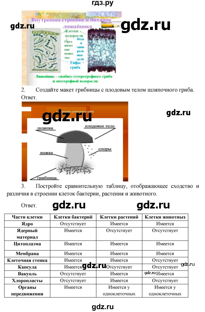 ГДЗ по биологии 5 класс Пономарева   подведем итоги / итоги после 16§ - Работа с моделями, Решебник