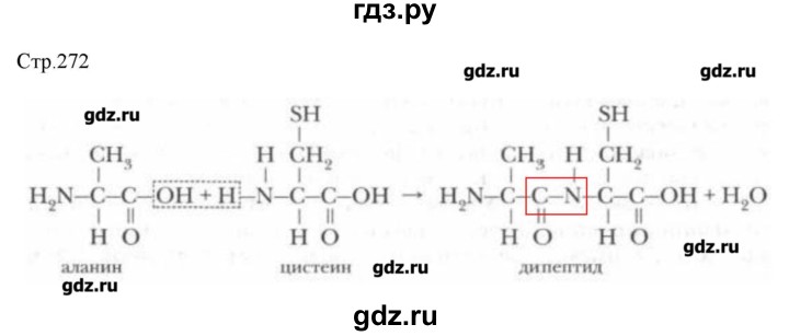 ГДЗ по химии 9 класс Кузнецова   вопрос внутри параграфа - §51, Решебник № 2