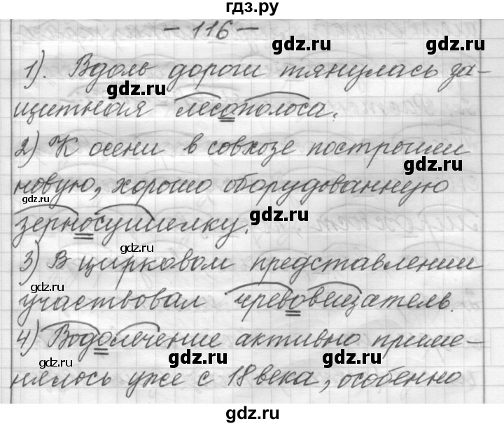 ГДЗ по русскому языку 6 класс Шмелев   глава 3 - 116, Решебник