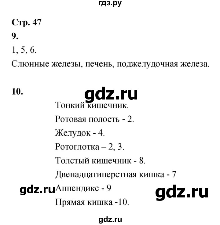 ГДЗ по биологии 8 класс Сухорукова Тетрадь-тренажер   страница - 47, Решебник