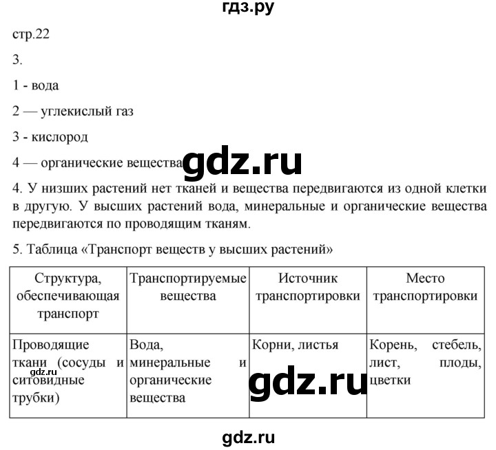 ГДЗ по биологии 6 класс Пасечник рабочая тетрадь страница - 22, Решебник 2024