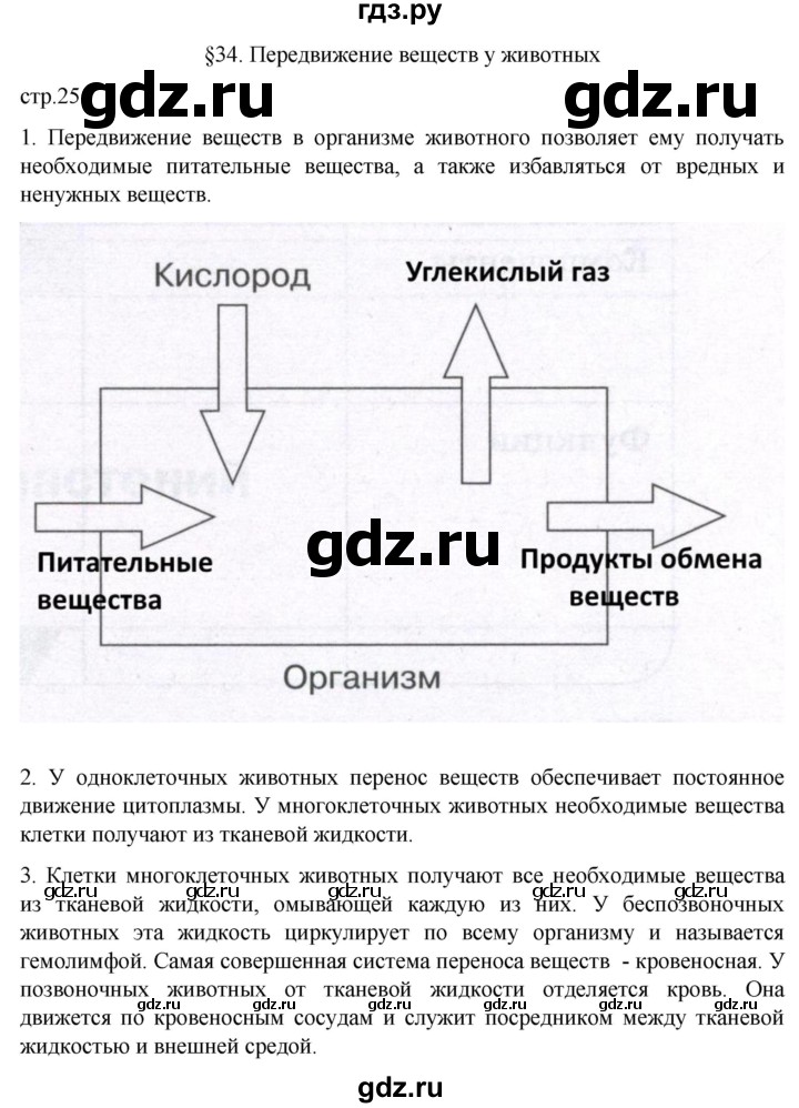 ГДЗ по биологии 6 класс Пасечник рабочая тетрадь страница - 25, Решебник 2024