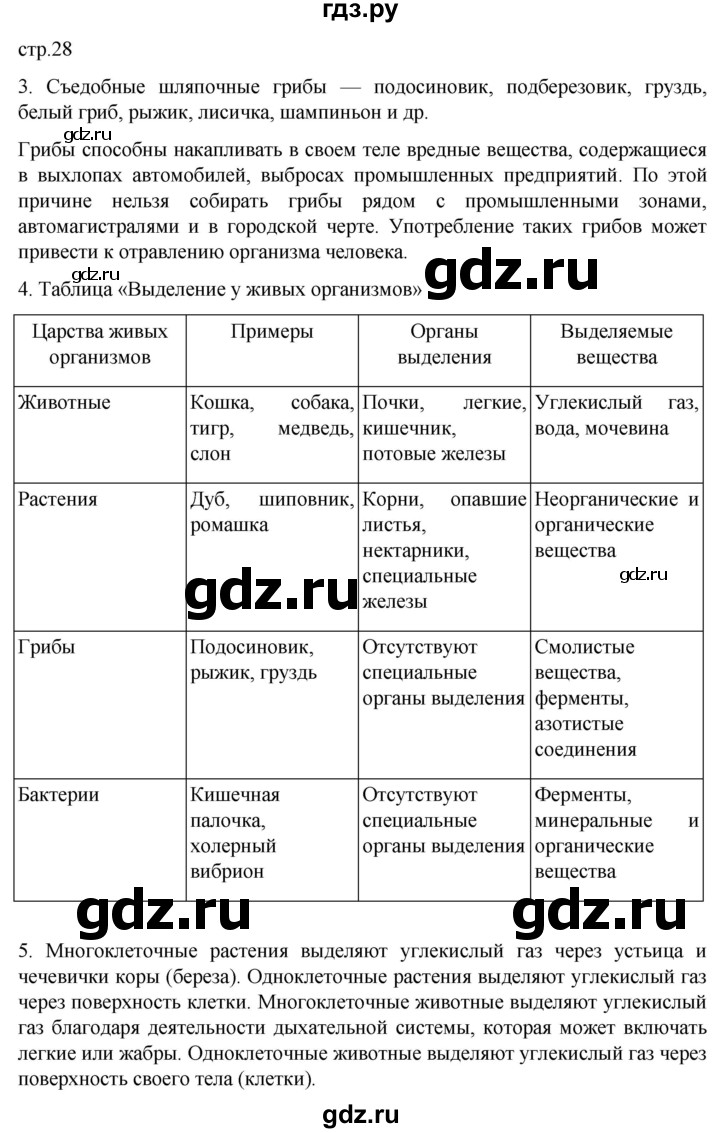 ГДЗ по биологии 6 класс Пасечник рабочая тетрадь страница - 28, Решебник 2024