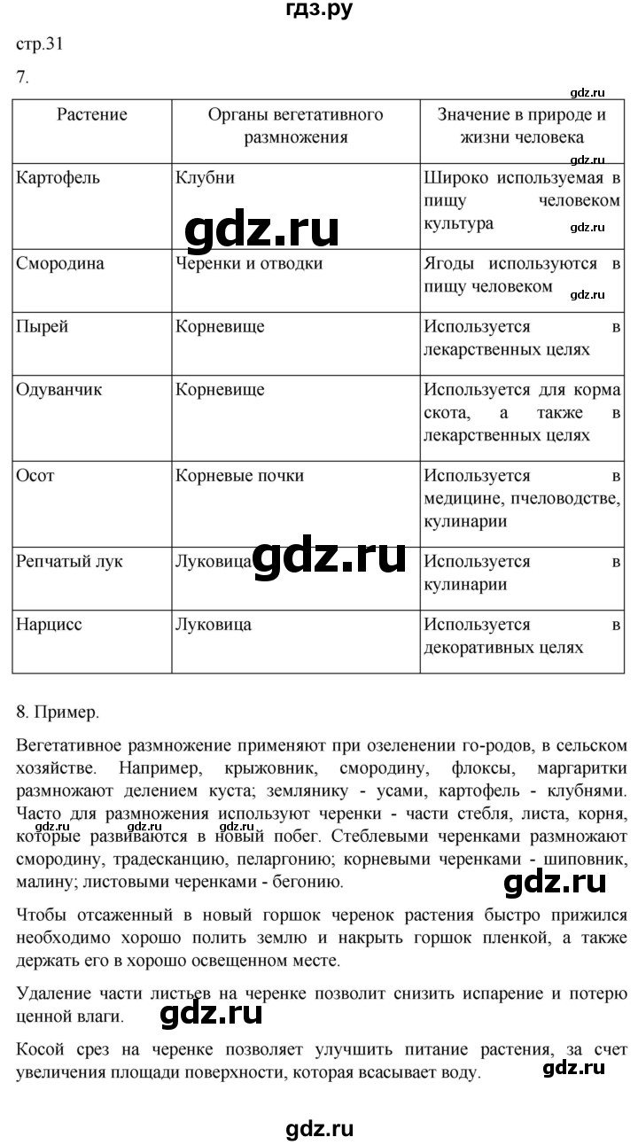 ГДЗ по биологии 6 класс Пасечник рабочая тетрадь страница - 31, Решебник 2024