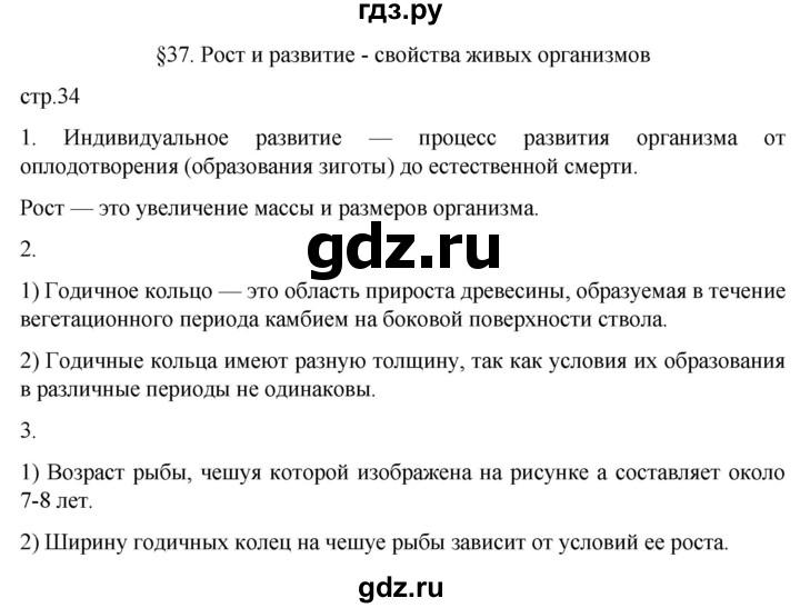 ГДЗ по биологии 6 класс Пасечник рабочая тетрадь страница - 34, Решебник 2024