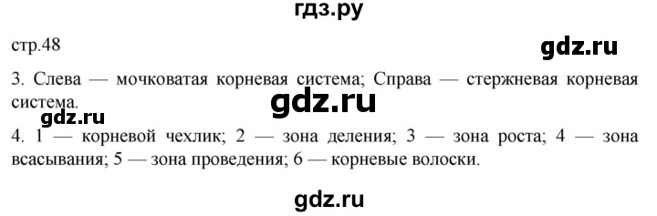 ГДЗ по биологии 6 класс Пасечник рабочая тетрадь страница - 48, Решебник 2024