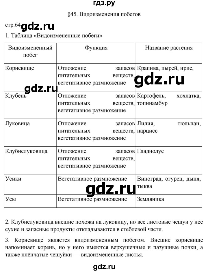 ГДЗ по биологии 6 класс Пасечник рабочая тетрадь страница - 64, Решебник 2024