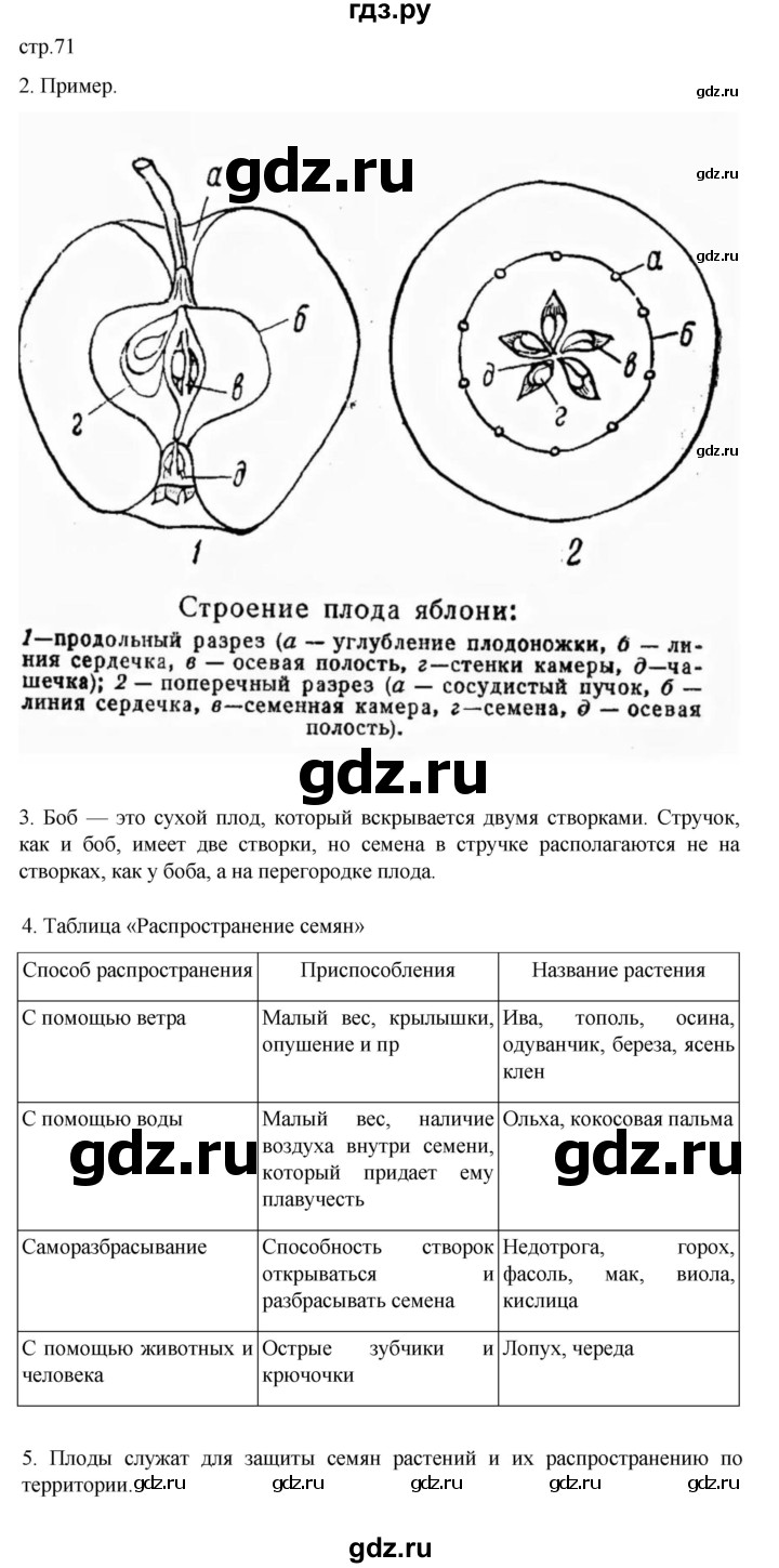 ГДЗ по биологии 6 класс Пасечник рабочая тетрадь страница - 71, Решебник 2024