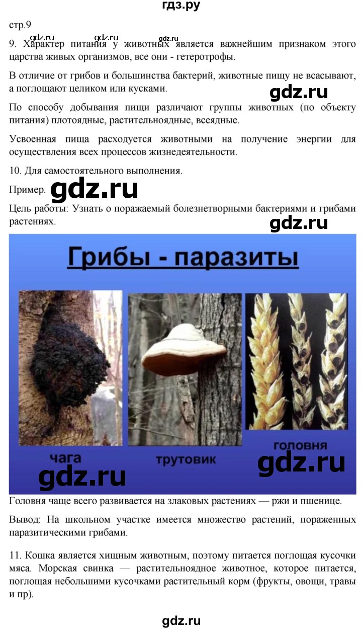 ГДЗ по биологии 6 класс Пасечник рабочая тетрадь страница - 9, Решебник 2024