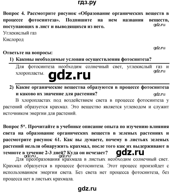 ГДЗ по биологии 6 класс Пасечник рабочая тетрадь страница - 10, Решебник 2016