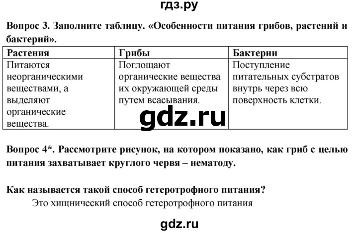 ГДЗ по биологии 6 класс Пасечник рабочая тетрадь страница - 13, Решебник 2016