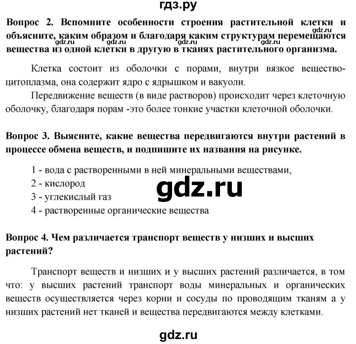 ГДЗ по биологии 6 класс Пасечник рабочая тетрадь страница - 22, Решебник 2016