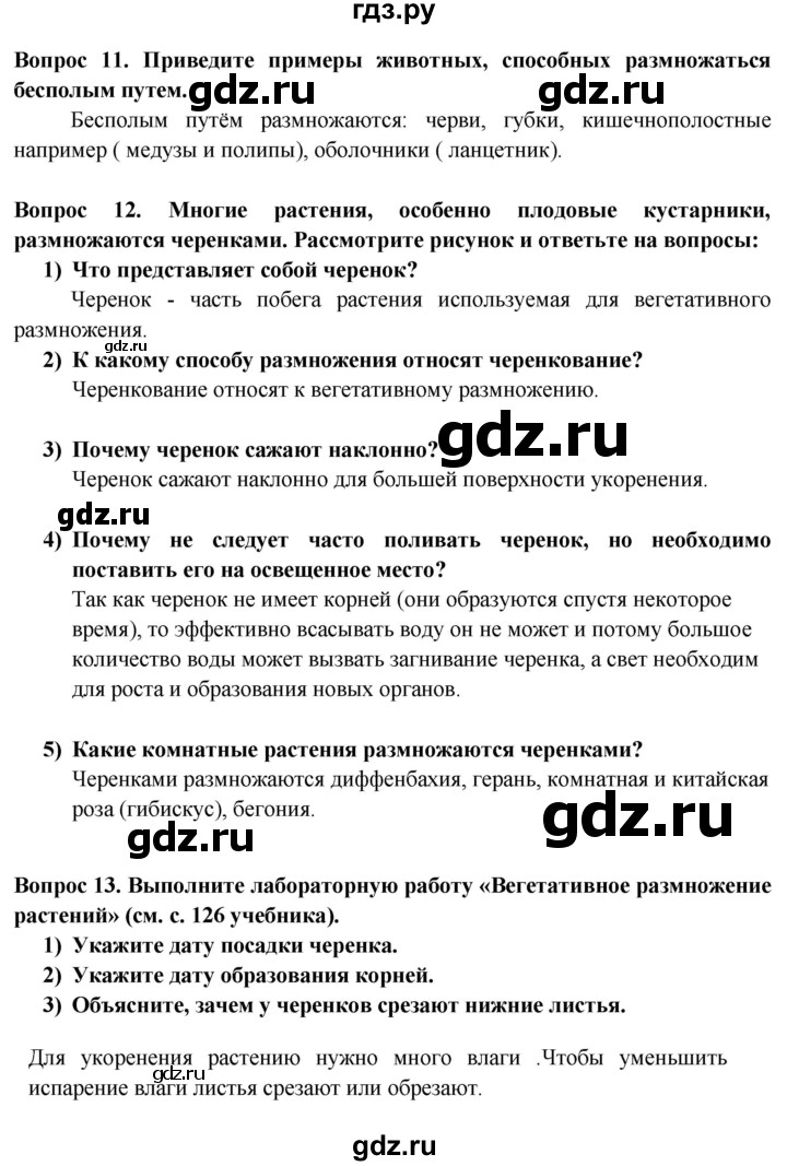 ГДЗ по биологии 6 класс Пасечник рабочая тетрадь страница - 43, Решебник 2016
